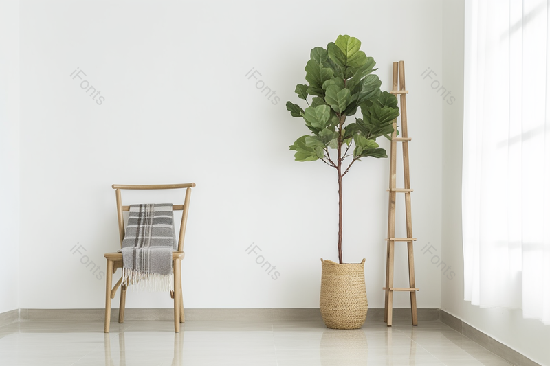 北欧家居现代简约风白色的窗帘绿植和椅子,高清,摄影图,摄影图片,图片大全,摄影图免费下载